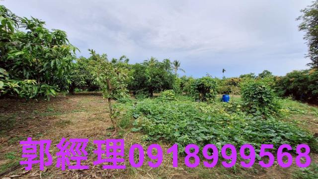 官田農地-13