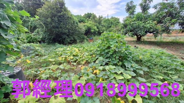 官田農地-15