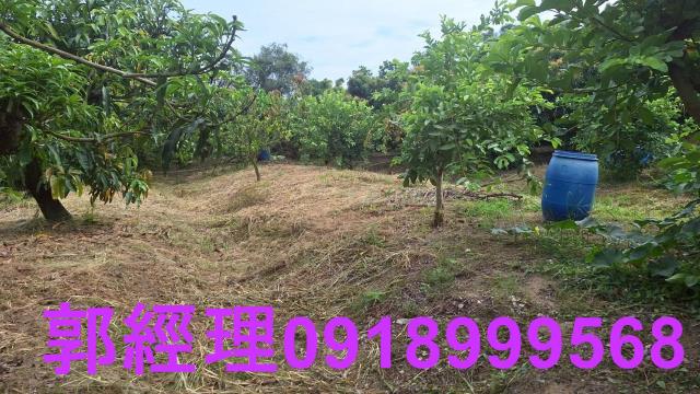 官田農地-7