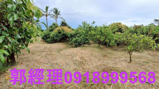 官田農地-8