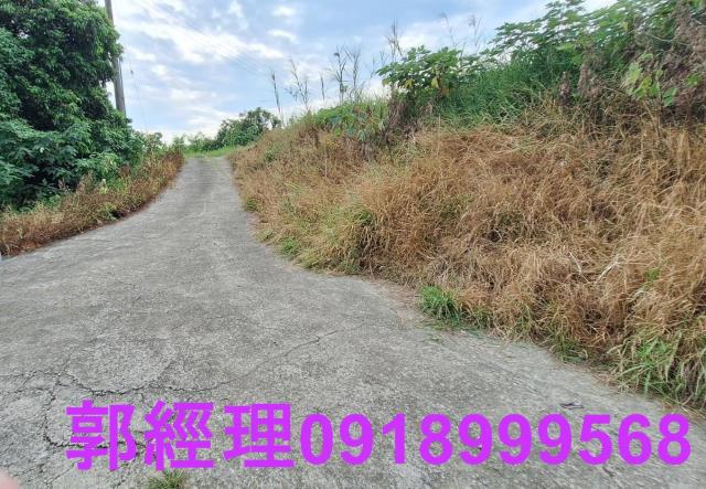 官田農地-9