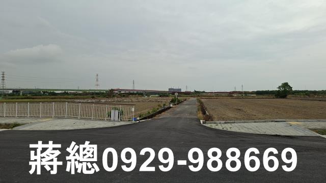 樹谷大道