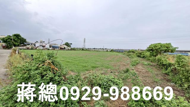 新市農地-11