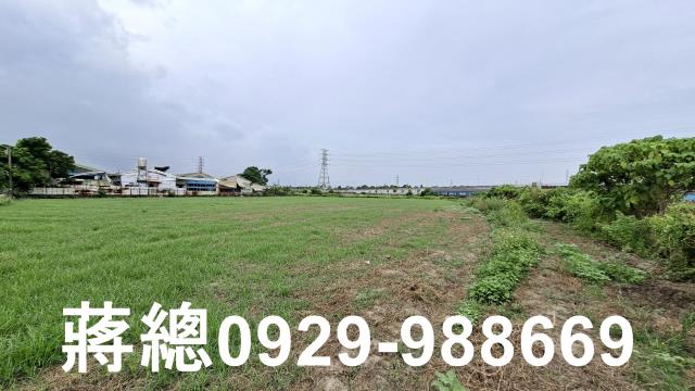新市農地-10