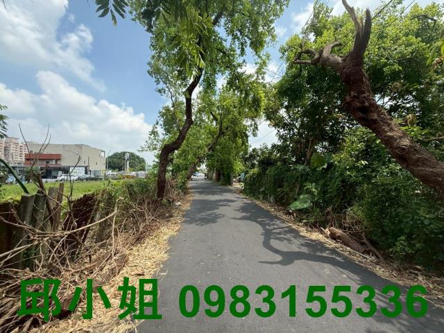 嘉義農地-2