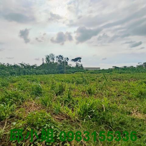 嘉義農地-1