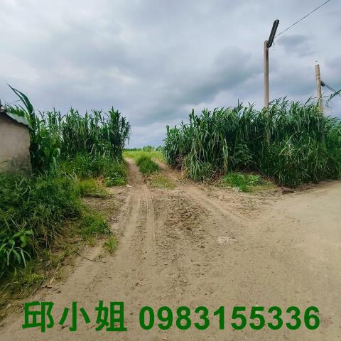 嘉義農地-2