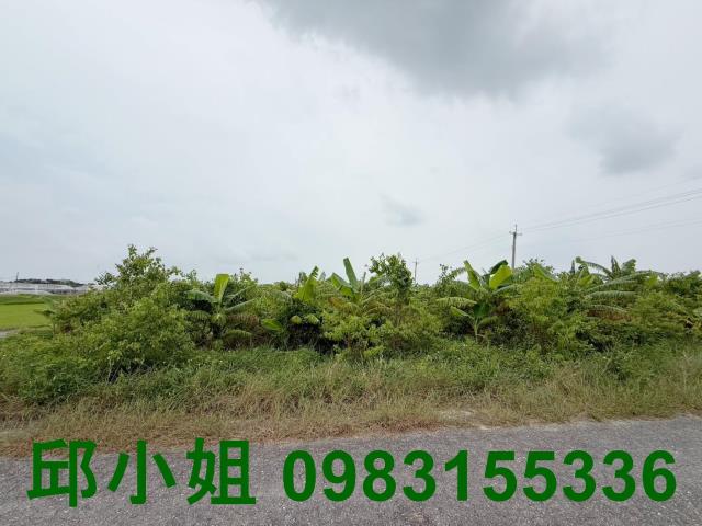 嘉義太保農地-1