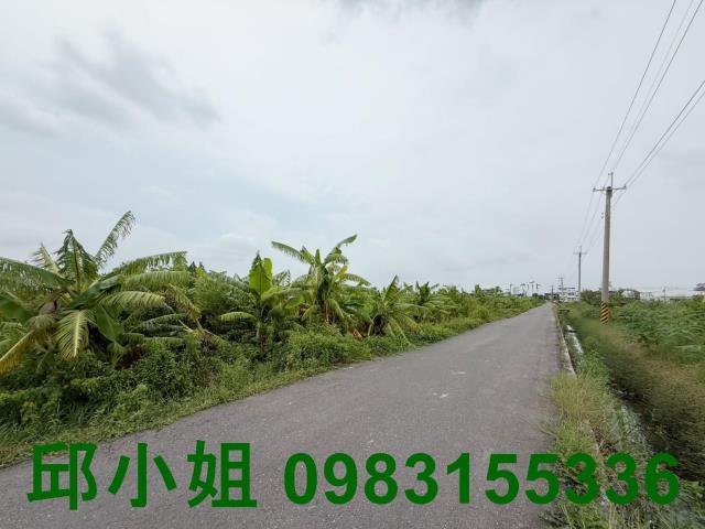 嘉義太保農地-2