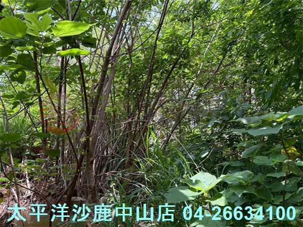 台中沙鹿建地-1