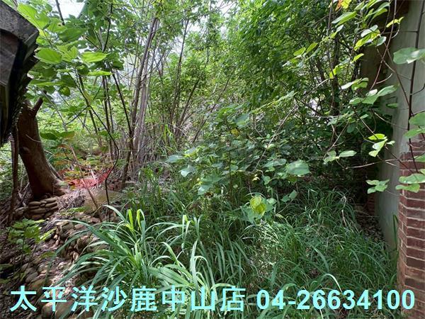 台中沙鹿建地-2