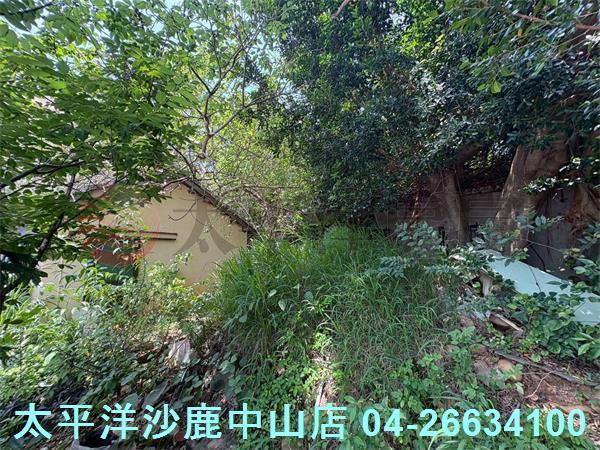 台中沙鹿建地-4