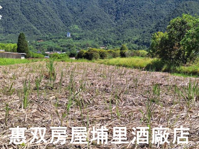 南投埔里農地-3