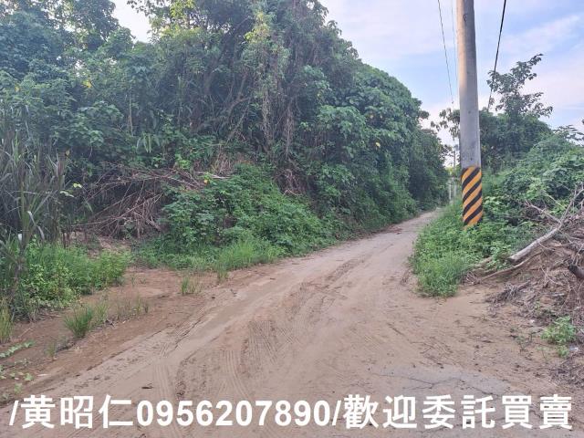 台南歸仁農地-10