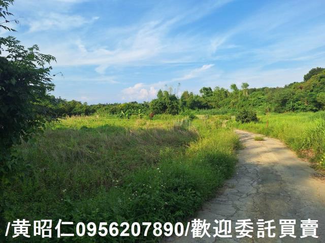台南歸仁農地-11