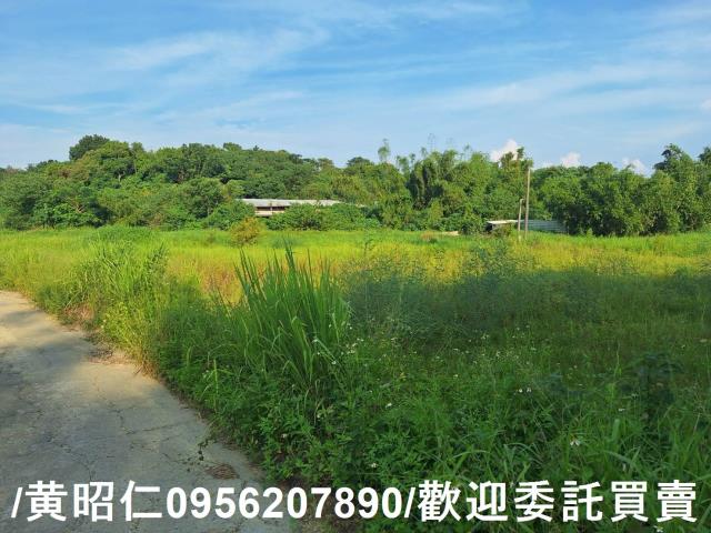 台南歸仁農地-12