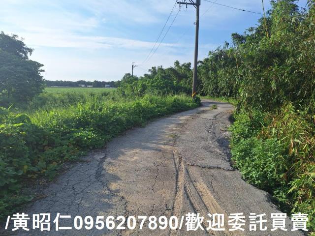 台南歸仁農地-14
