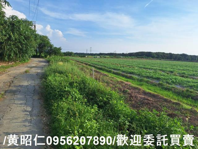 台南歸仁農地-1