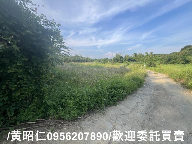 台南歸仁農地-3