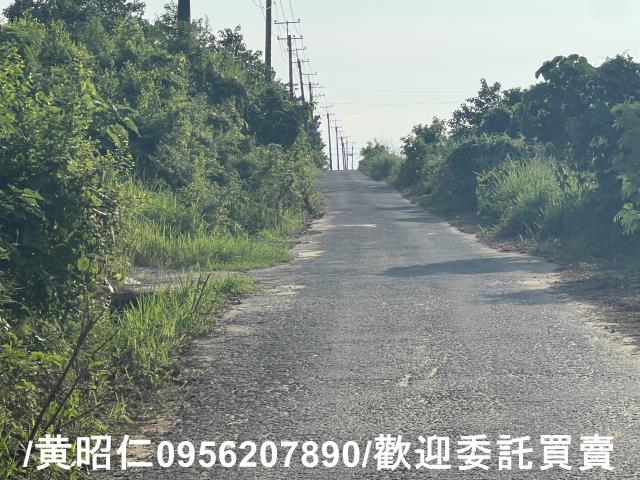 台南歸仁農地-4