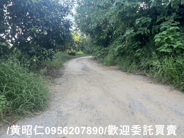 台南歸仁農地-6