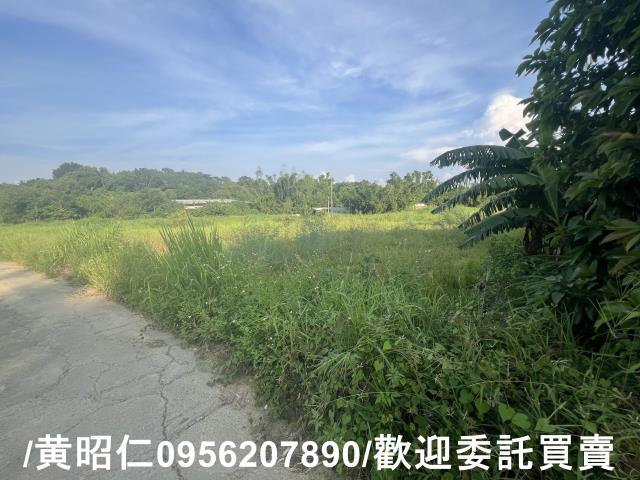 台南歸仁農地-7
