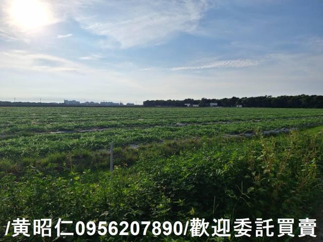 台南歸仁農地-9