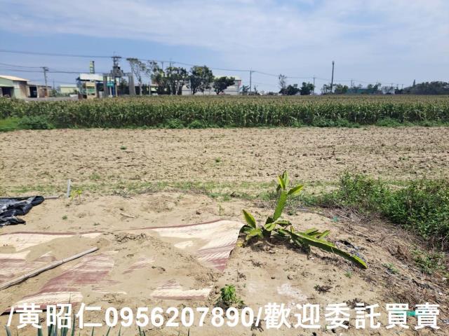 台南學甲農地-1
