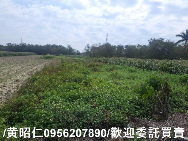 台南學甲農地-5