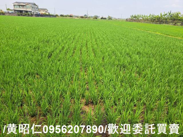 台南白河農地-3