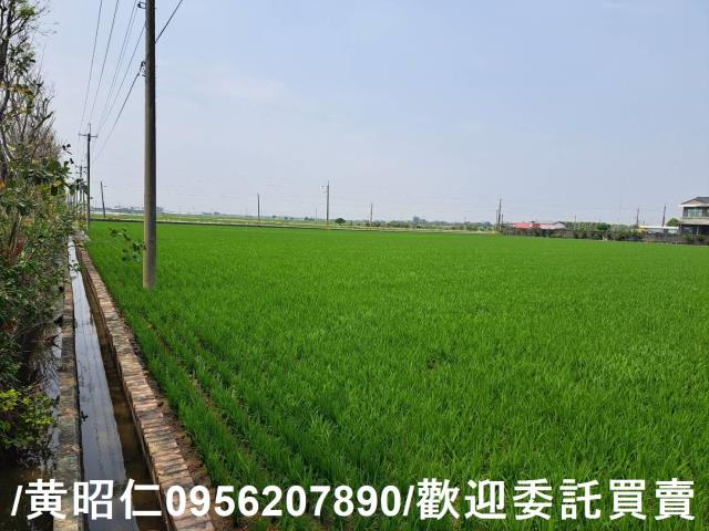 台南白河農地-4