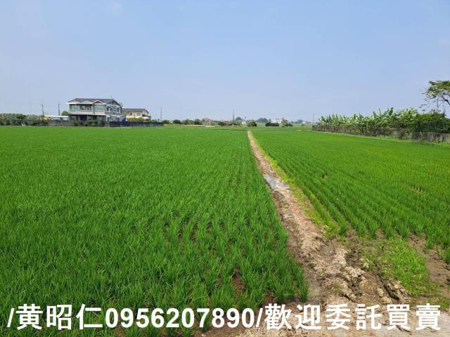 台南白河農地-5