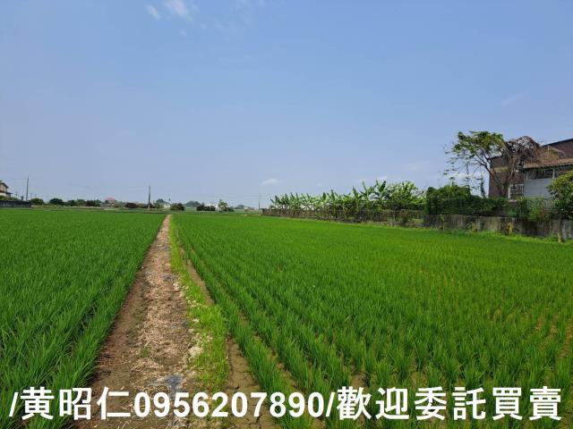 台南白河農地-6