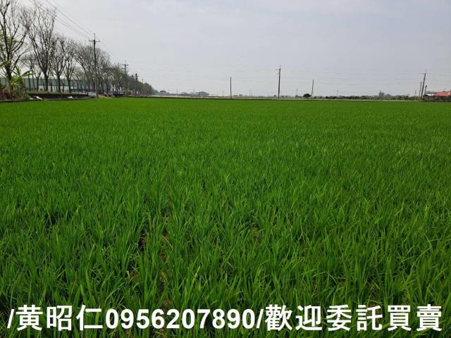 台南白河農地-7