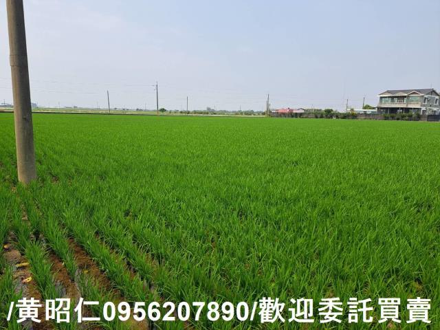 台南白河農地-8