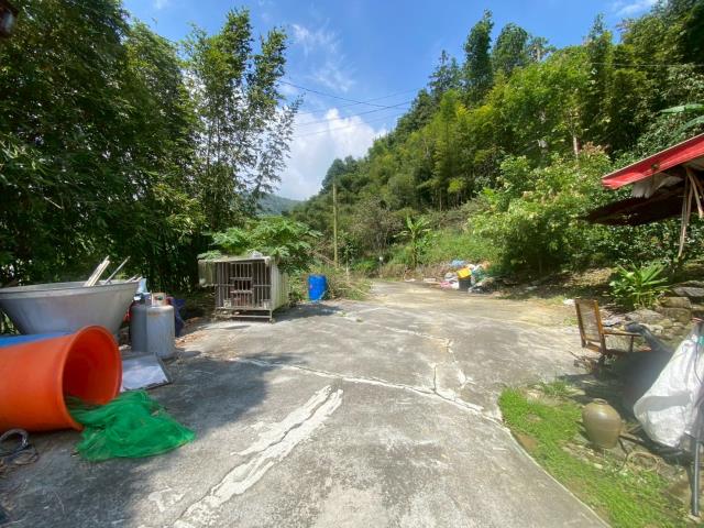 鹿谷農地-11