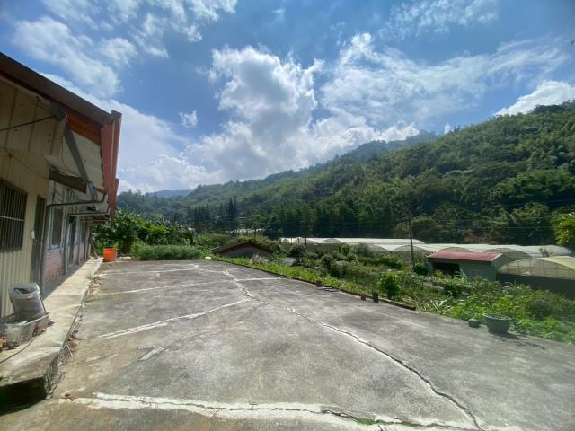 鹿谷農地-13
