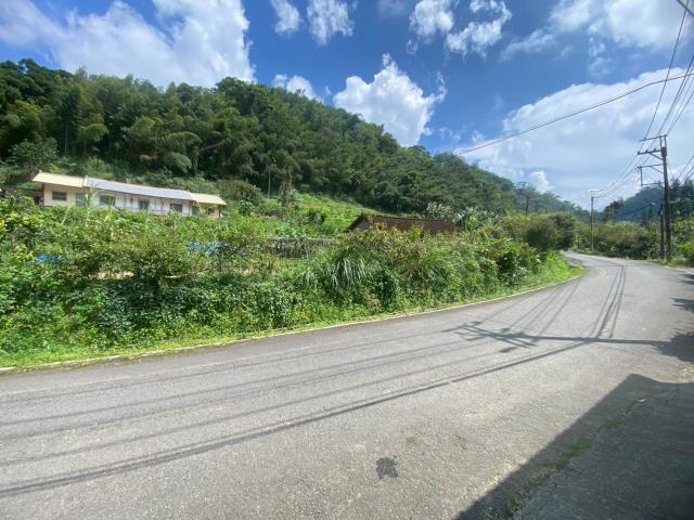 鹿谷農地-6