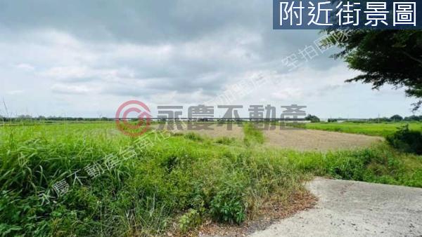 學甲農地-15