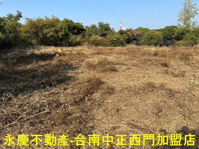 新化農地-10