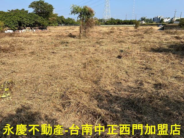 新化農地-11