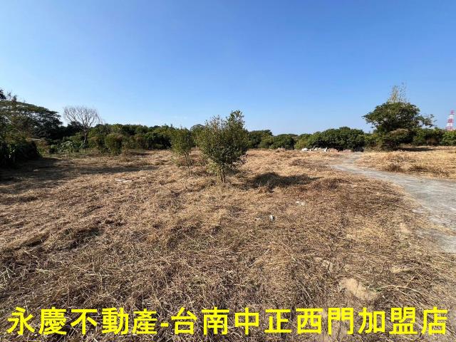 新化農地-12