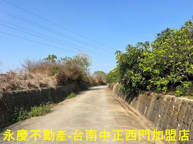 新化農地-3