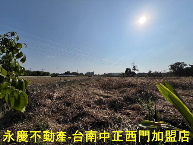 新化農地-5