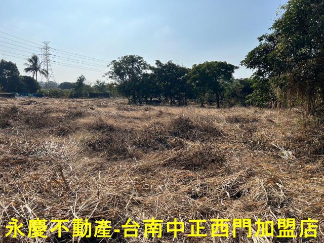 新化農地-6
