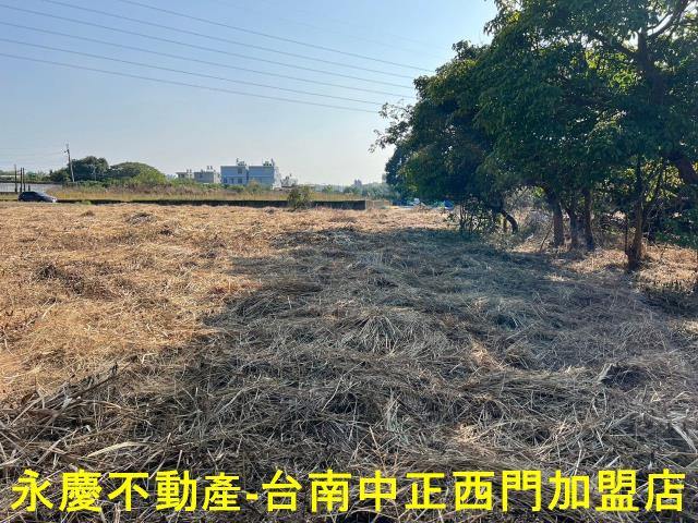新化農地-8