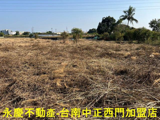 新化農地-9