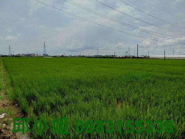 民雄農地-1