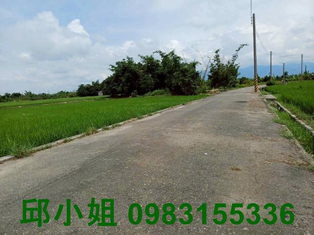 民雄農地-2