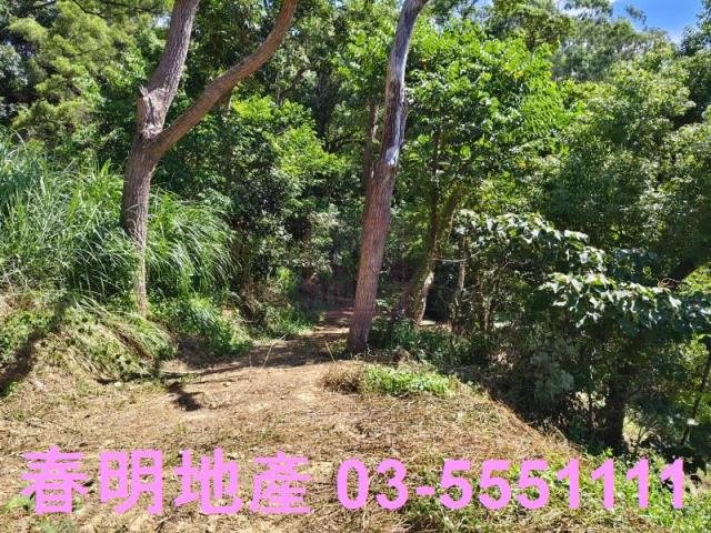 東區風景地-5